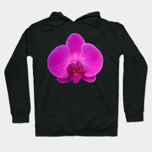 Orchid, Dorne Phalaenopsis Hoodie